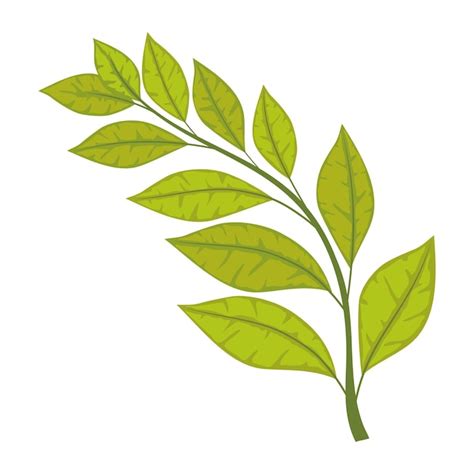 Verzweigte Natur-Symbol isoliert | Kostenlose Vektor