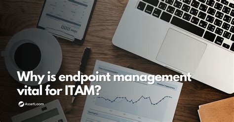 Endpoint Management 的图像结果