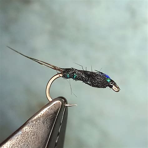 Image result for Muskin Fly Pattern