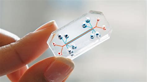 Technology Is Amazing 的图像结果