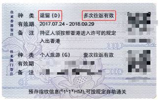 香港大学学生签证办理攻略-金吉列留学官网