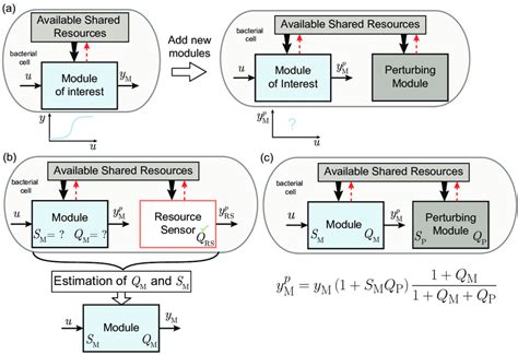 Image result for Resource Competition