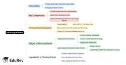 Mindmap: PDF Download