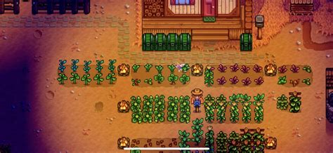 stardew valley fairy seeds