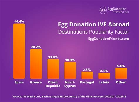 IVF with Donor Eggs: Top Countries, Costs, Law