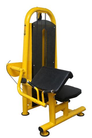 Preacher Curl – Bhaseen Sports Pvt. Ltd.