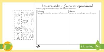 Los animales | Los seres vivos | Ciclo III | Peru - Twinkl