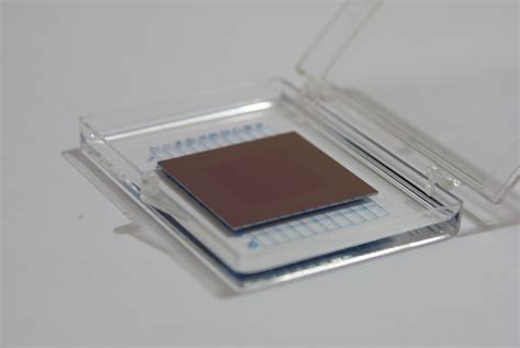 SiO2 Substrate 的图像结果