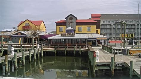 Oak Island Pier Webcam