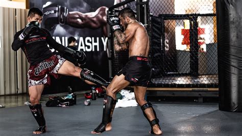 The Beginner’s Guide To Leg Kicks In MMA | Evolve Daily