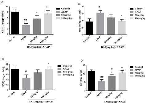 Hepatoprotective Effect of Baicalein Against Acetaminophen-Induced ...
