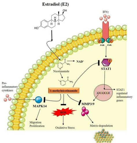 Unveiling the Nexus: Cellular Metabolomics Unravels the Impact of ...