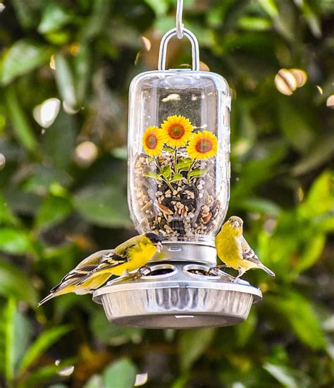 18 Best Unique Bird Feeders and Houses for 2021