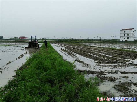 长江流域水灾频繁，古人是如何应对的？_凤凰网