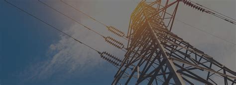 CESC Limited | Businesses