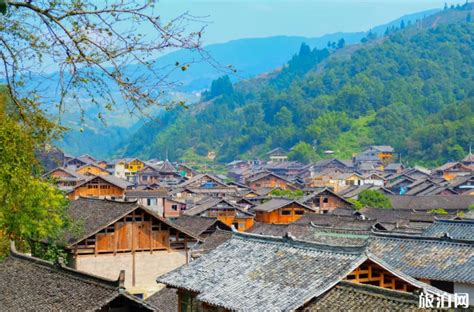 贵州：到2020年 全省旅游业总收入力争达到10000亿元 - 中国日报网