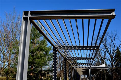 Metal Pergola: The Complete Buying Guide