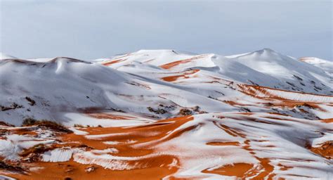 新疆尉犁：塔克拉玛干沙漠雪景美如画-评论频道-和讯网