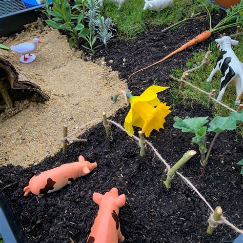 Miniature Farm Animal