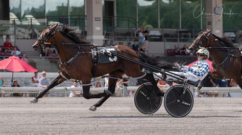 Cannibal | Blue Chip Farms