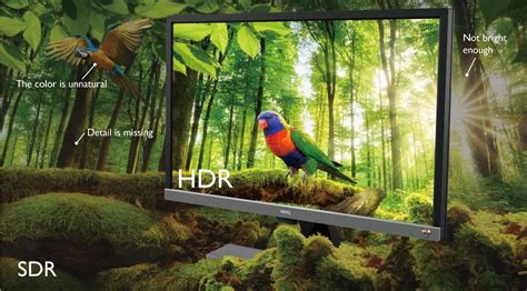 Image result for What Is HDR Monitor