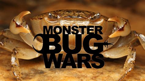 The latest additions to Amazon Prime Video UK - NewOnAmzPrimeUK