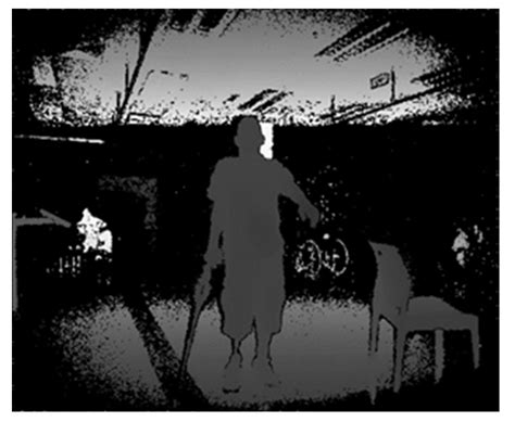 Design and Validation of Vision-Based Exercise Biofeedback for Tele ...