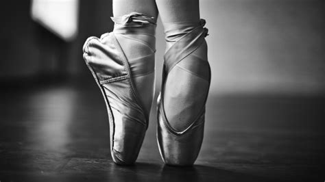 Image result for Basic Ballet Exercises