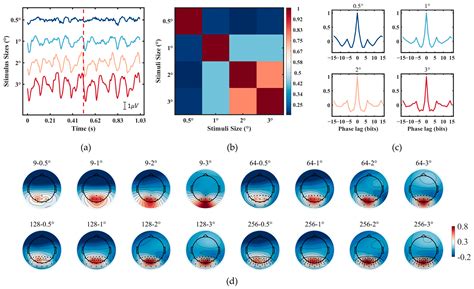 High-Density Electroencephalogram Facilitates the Detection of Small ...