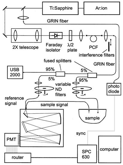 Broadband Time Domain Diffuse Optical Reflectance Spectroscopy: A ...