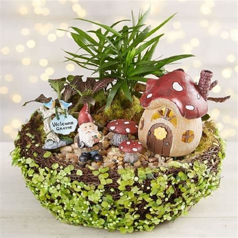 Send Green Foliage & Moss with Whimsical Miniatures Online - GAL22 ...
