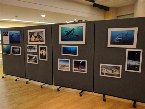 Extinct 的图像结果