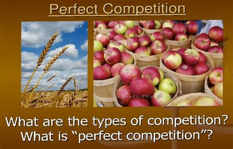 Image result for Perfect Competition