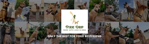 Buy Pixie Drip | Luxury Velvet Dog Collar, Cheetah | Adjustable, with ...