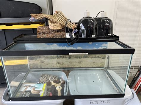 40 Gallon Reptile Tank With Supplies for Sale in Everett, WA - OfferUp