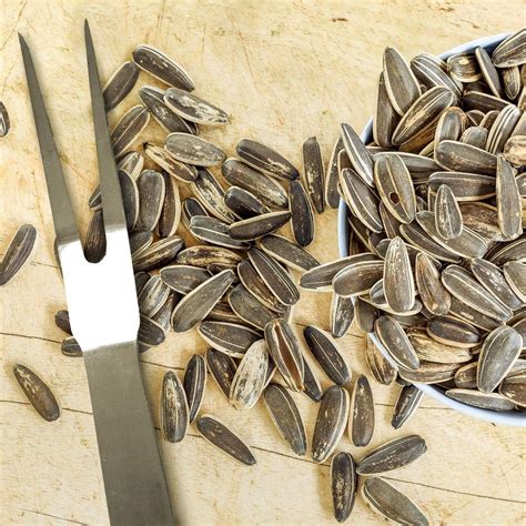 Spitz Sunflower Seeds Cracked Pepper 6 Oz - Pack of 9 | Premium Snack ...