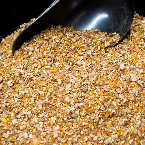 Laying Mash For Chickens Philippines Popular Stores | www.oceanproperty ...