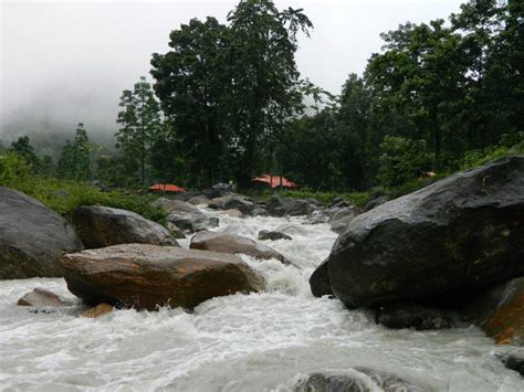 Gorumara National Park - Dooars: Get the Detail of Gorumara National ...