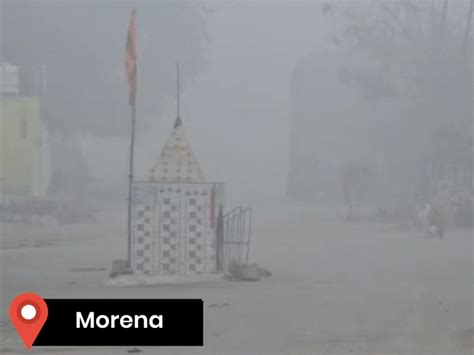 Dense fog covers MP's northern region: Cold wave alert in 7 districts ...