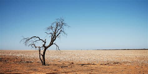 Climate change impacts on drought | AdaptNSW