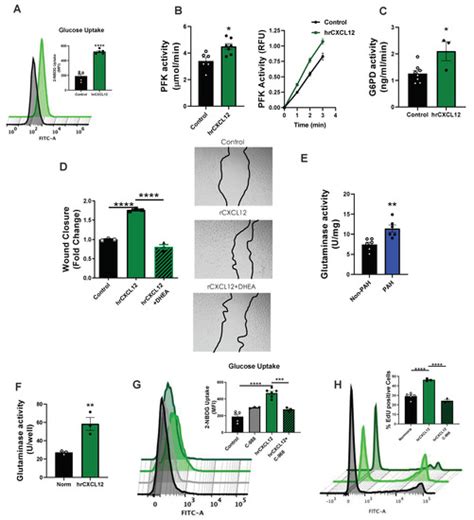 Specificity Protein 1-Mediated Promotion of CXCL12 Advances Endothelial ...