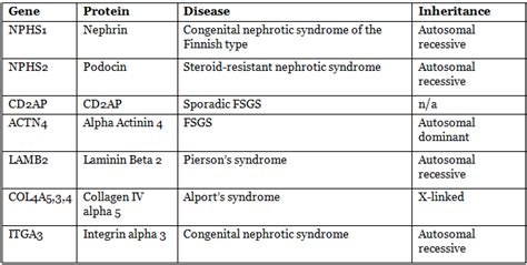Renal Physiology Chapter Notes - Physiology - NEET PG PDF Download