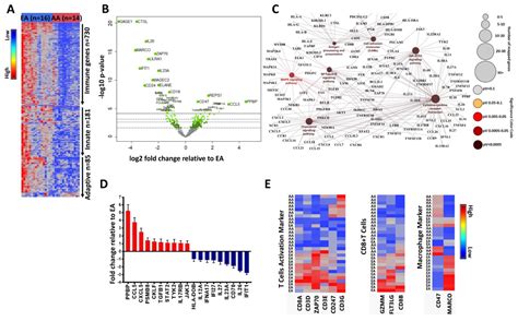 Immune Profile of Exosomes in African American Breast Cancer Patients ...