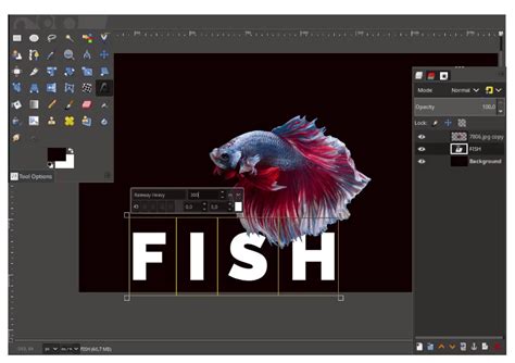 Image result for Design App UI Using GIMP