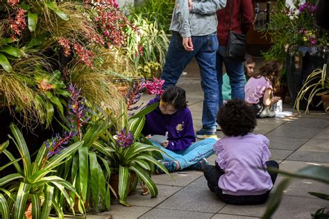 School Vacation Activities at New England Botanic Garden | Worcester ...