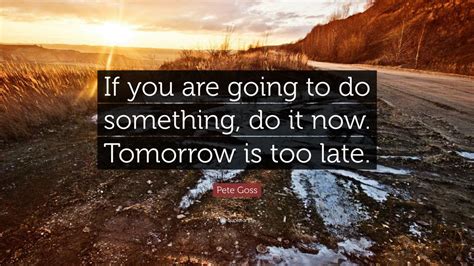 Pete Goss Quote: “If you are going to do something, do it now. Tomorrow ...