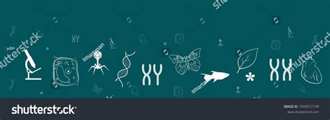 Biology Science Clip Art 的图像结果