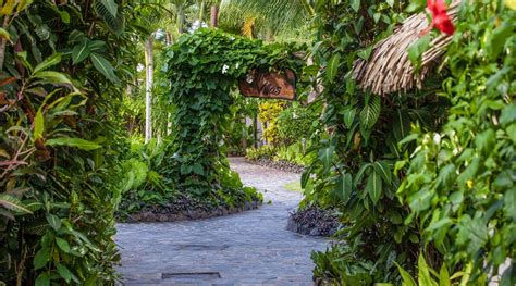 PACIFIC RESORT RAROTONGA (Muri, Cook Islands) - Resort Reviews, Photos ...