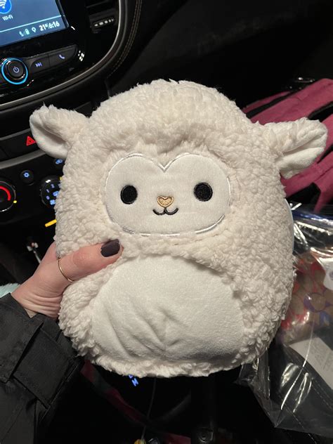 screaming, crying, throwing up RN : r/squishmallow