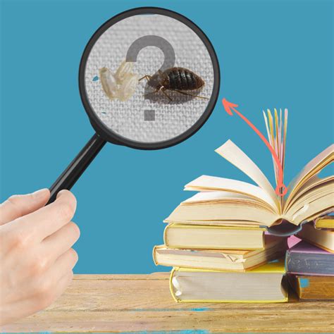 Do Bed Bugs Lay Eggs in Books? – Bed Bug SOS